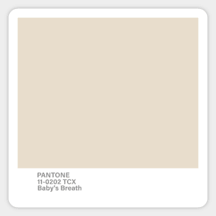 pantone 11-0202 TCX Baby s Breath Sticker